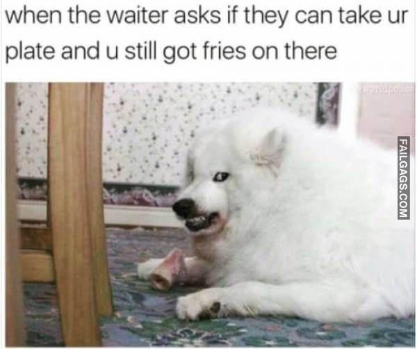 Random Funny Memes 15 4