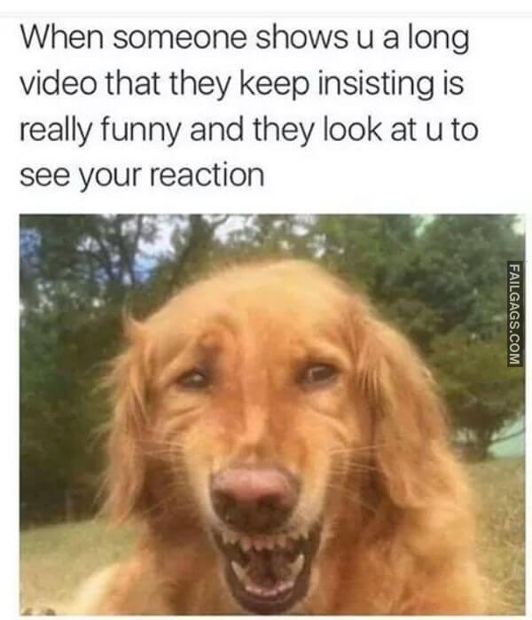 Random Funny Memes 15