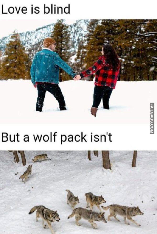 Random Funny Memes 17 6