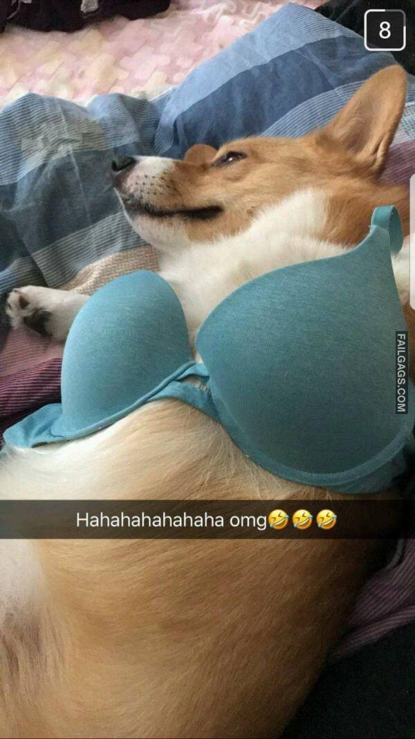 Random Funny Memes 9 1