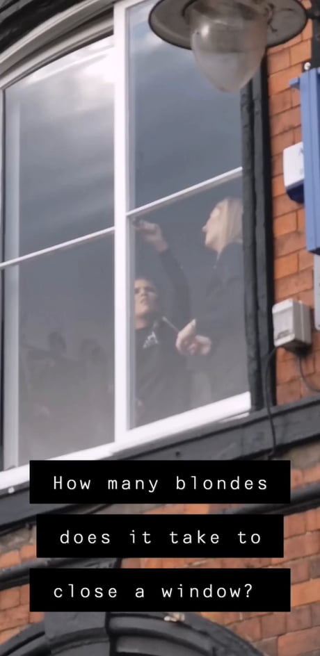 How Many Blondes Does It Take to Close a Window?