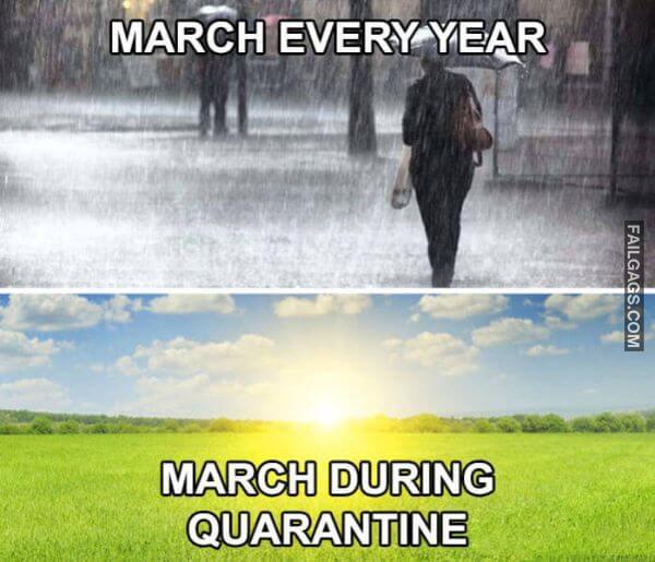 Funny Quarantine Memes 13