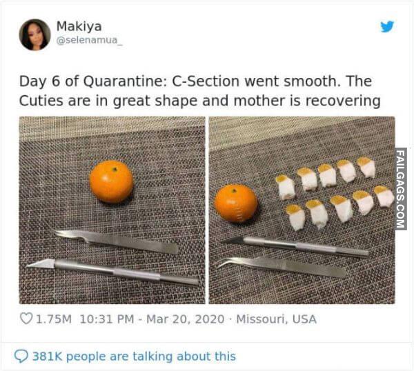 Funny Quarantine Memes 8