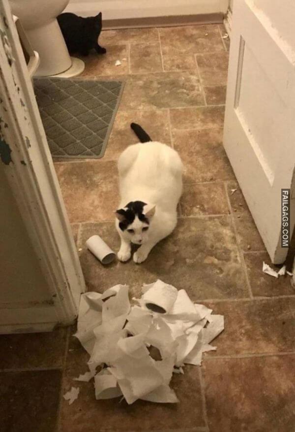 Memes for When Youre Having a Bad Day 9