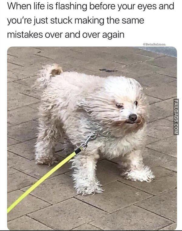 Random Funny Memes 1 7