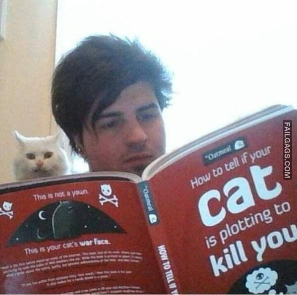 Random Funny Memes 13 2