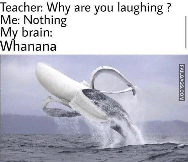 Random Funny Memes (13 Photos)