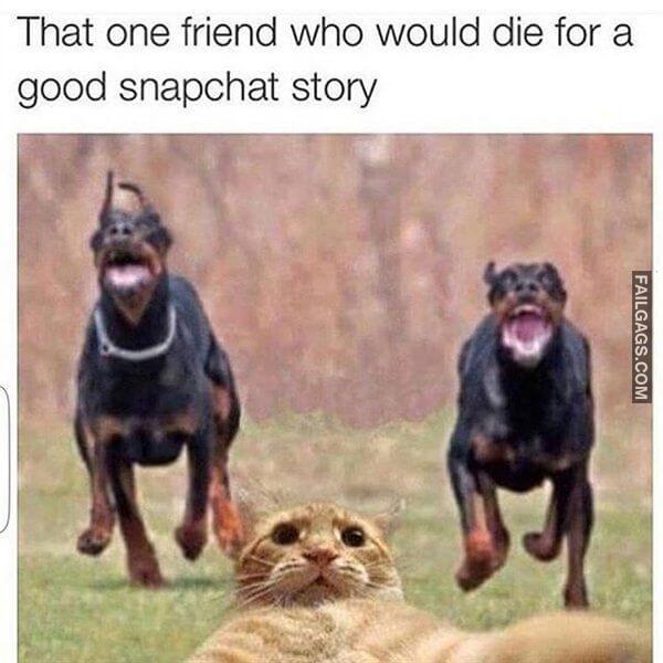 Random Funny Memes 4 7