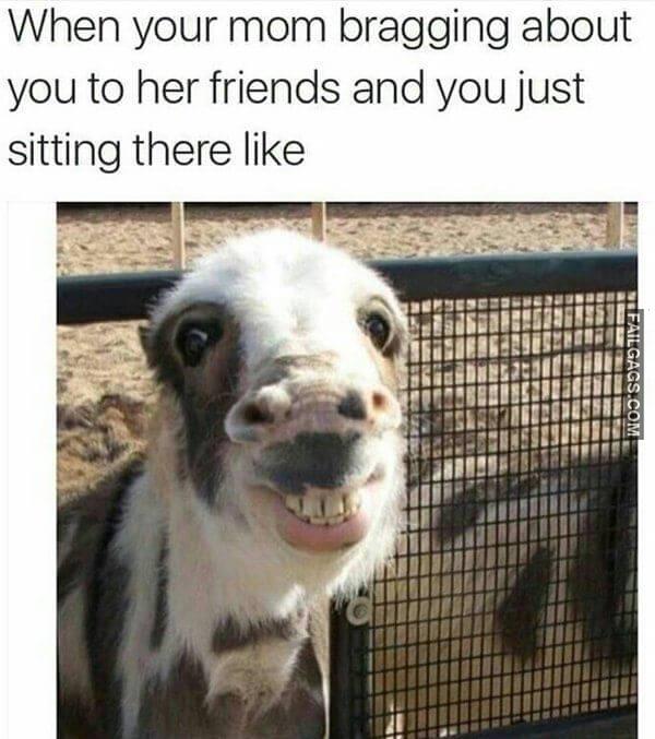 Random Funny Memes 6 5