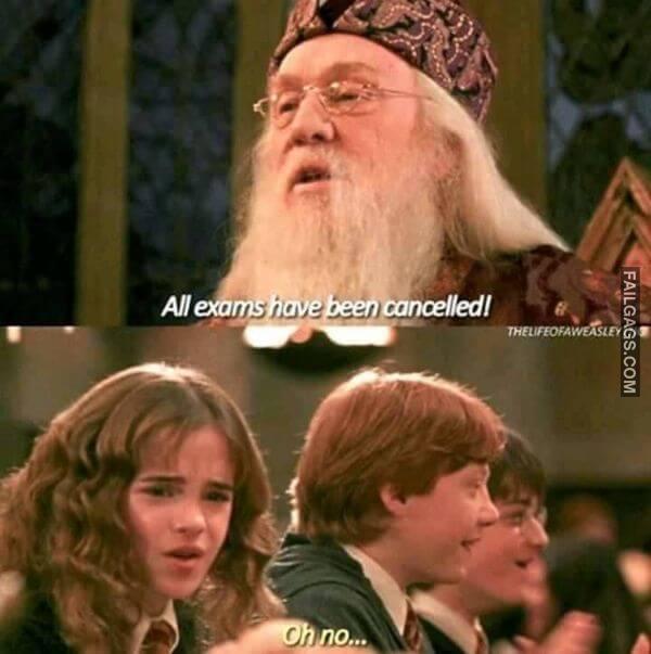 Random Funny Memes 6 6