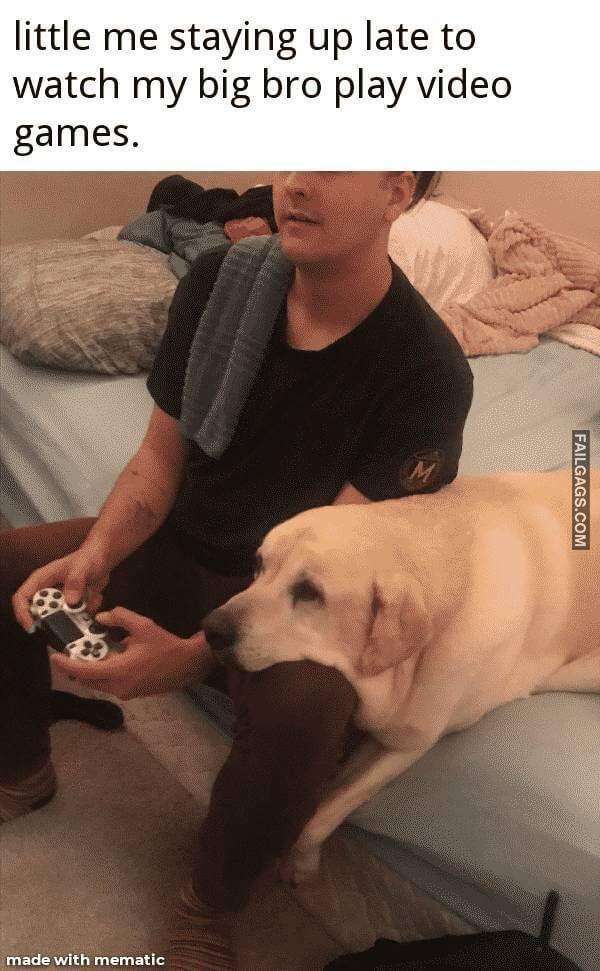 Wholesome Memes Never Hurt Nobody 15