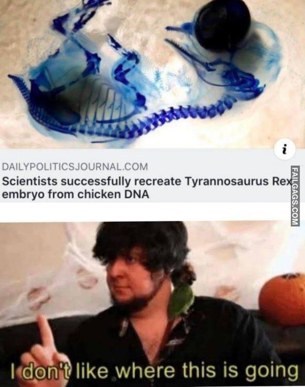 Scientists Successfully Recreate Tyrannosaurus Rex Embryo From Chicken Dna I Dont Like Where This is Going Memes