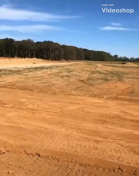 What Happens if You Feed Red Bull to a Mole