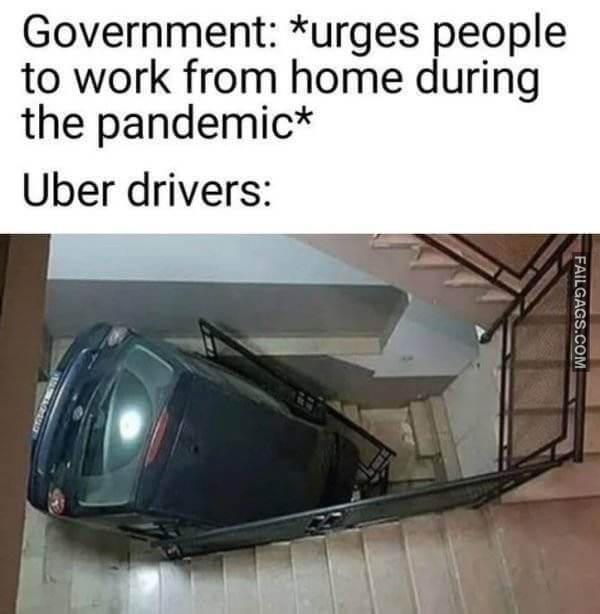 Funny Work From Home Memes 6