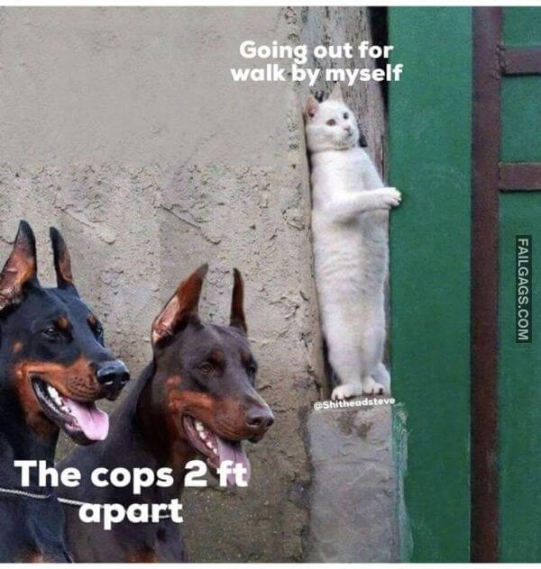 Random Funny Memes 1 4