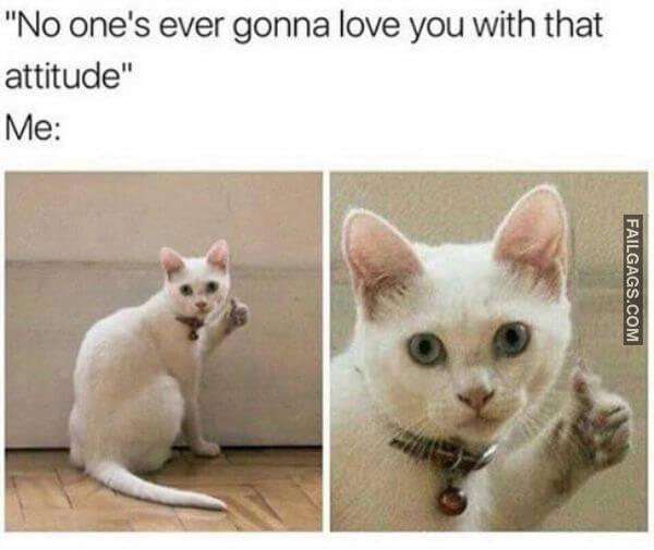 Random Funny Memes 10 2