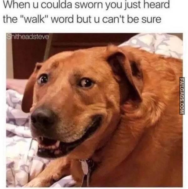 Random Funny Memes 11 10