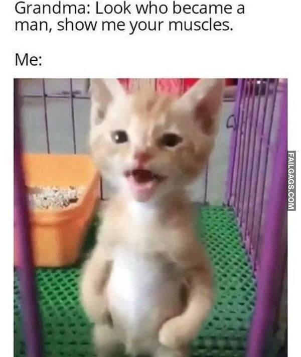 Random Funny Memes 11 9