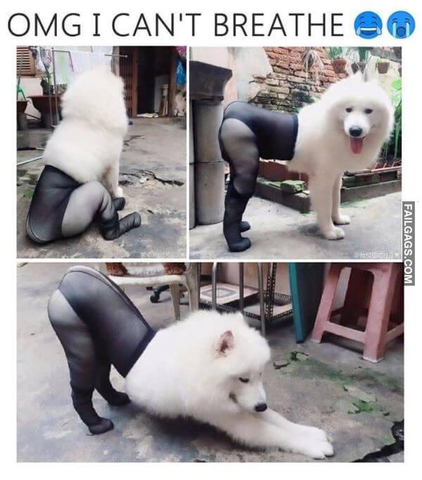 Random Funny Memes 12 5