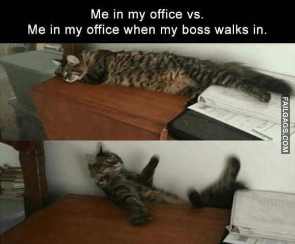 Random Funny Memes 13 10