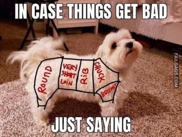 Random Funny Memes 14 5