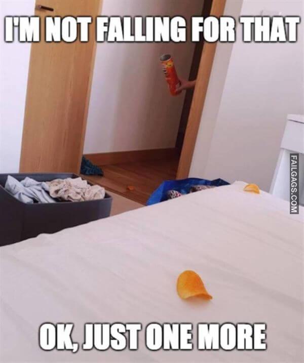 Random Funny Memes 16 6