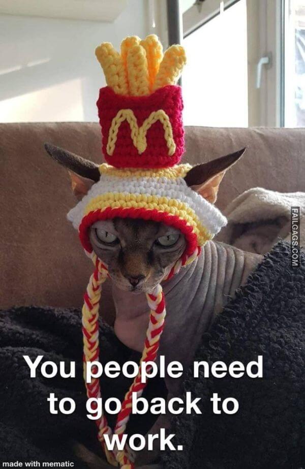 Random Funny Memes 18 1