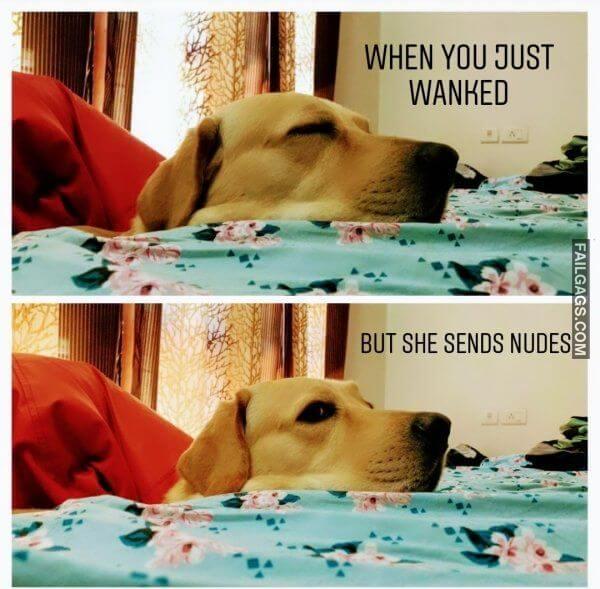 Random Funny Memes 18 7