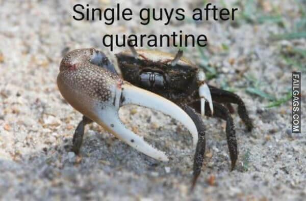 Random Funny Memes 2 4