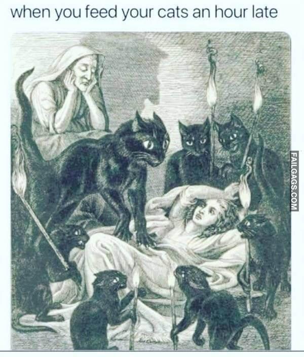 Random Funny Memes 20