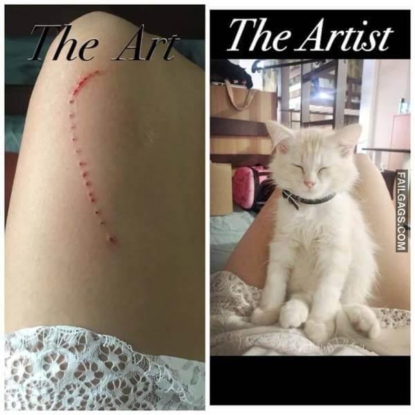 Random Funny Memes 3 8