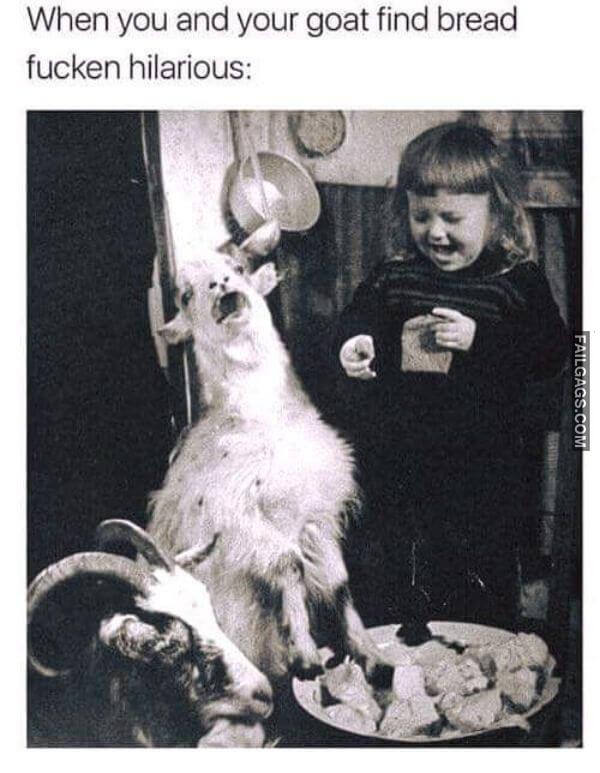 Random Funny Memes 4 8