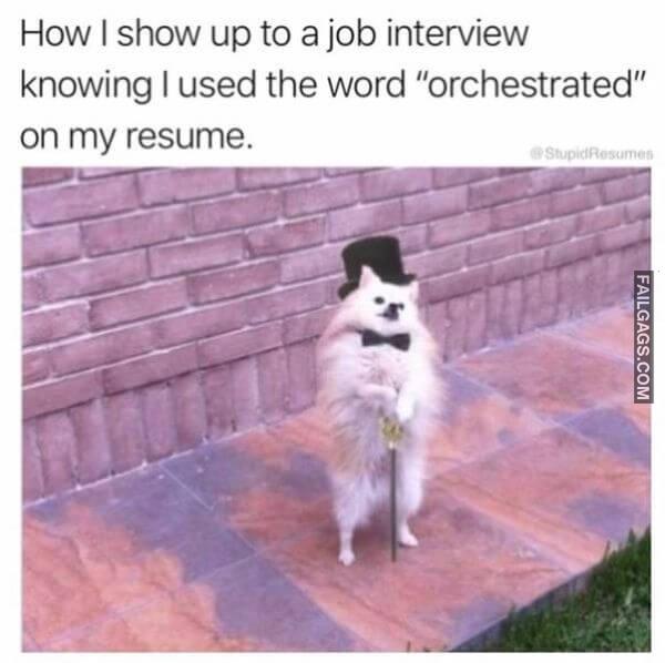 Random Funny Memes 6 5