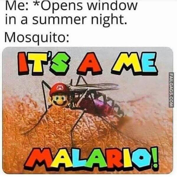 Random Funny Memes 6 7