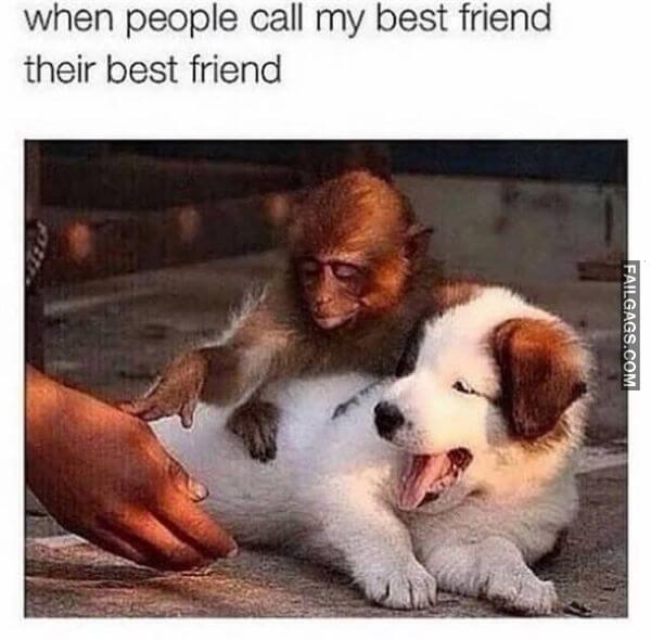 Random Funny Memes 9 2