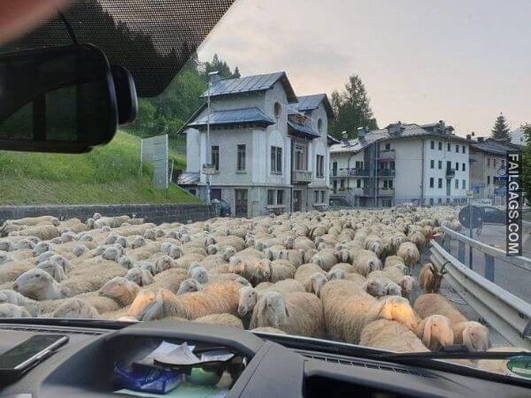 The Definition of a Bad Day 5