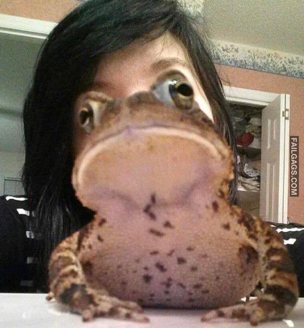 These Photos Will 100 Make You LOOK TWICE 16