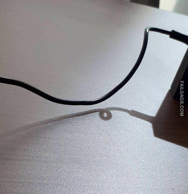 These Photos Will 100 Make You LOOK TWICE 17