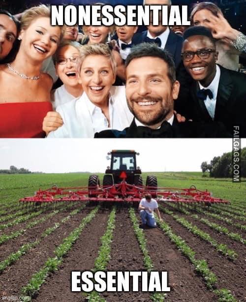 Nonessential Vs Essential Memes