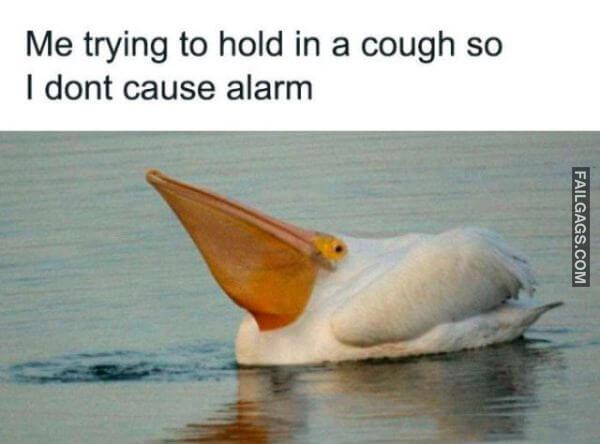 funny Quarantine Memes 10