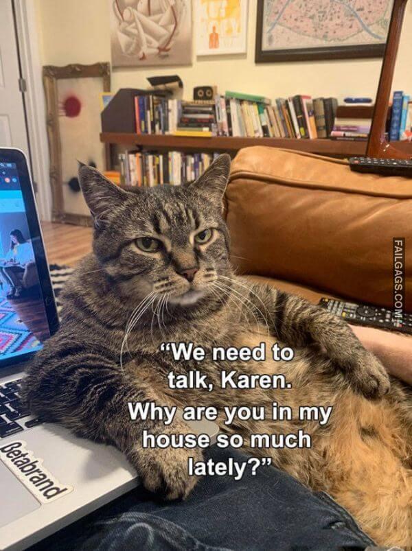 funny Quarantine Memes 12