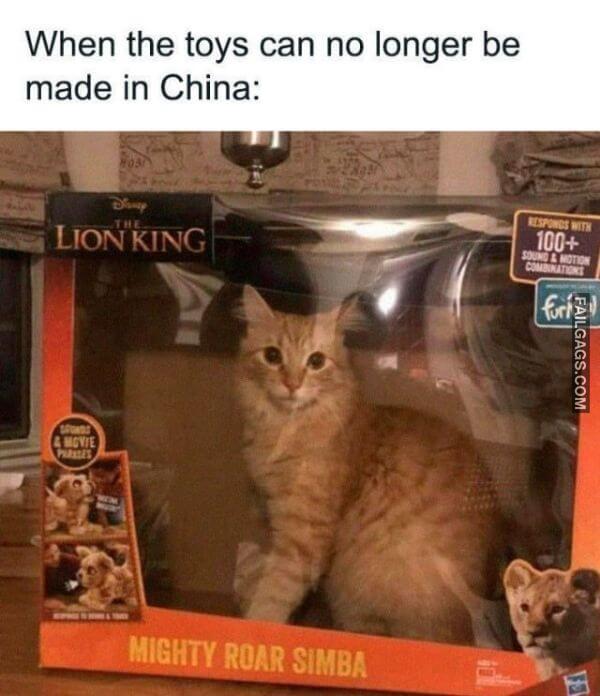 funny Quarantine Memes 7