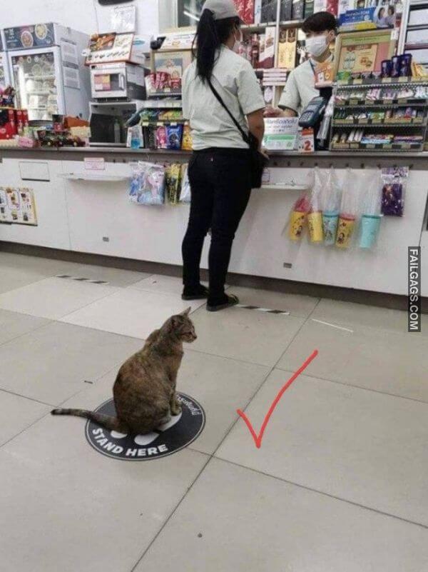 funny Quarantine Memes 8