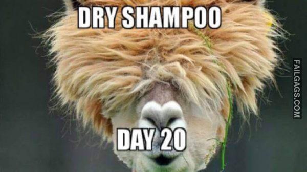 funny Women memes 17