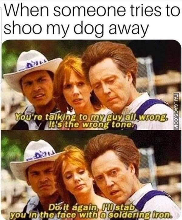 funny dogs Memes 3