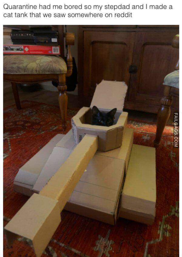 How People Spend Their Quarantine Days 12