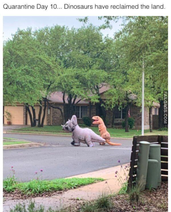 How People Spend Their Quarantine Days 16