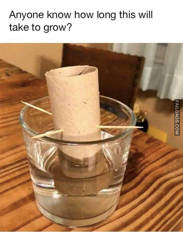 How People Spend Their Quarantine Days 2