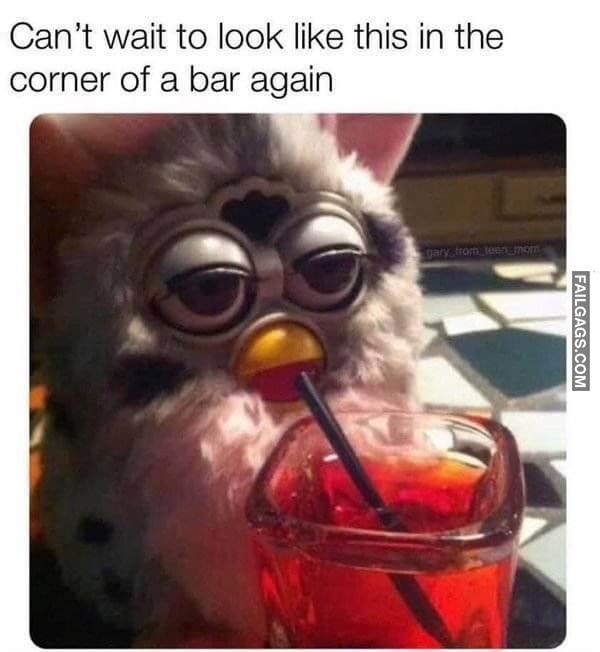 Random Funny Memes 1 5