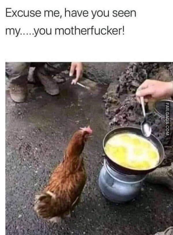 Random Funny Memes 1 8